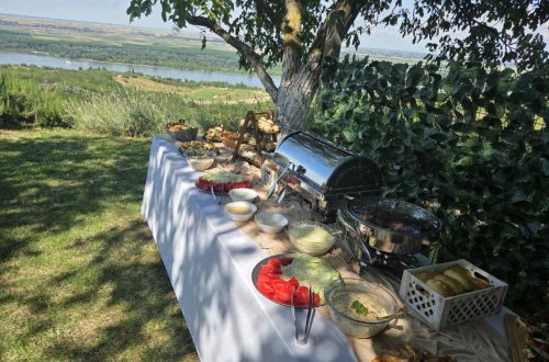 Ketering za manje svadbeno veselje